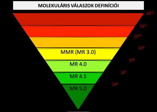 Válasz