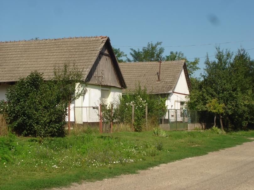 faburkolatú.