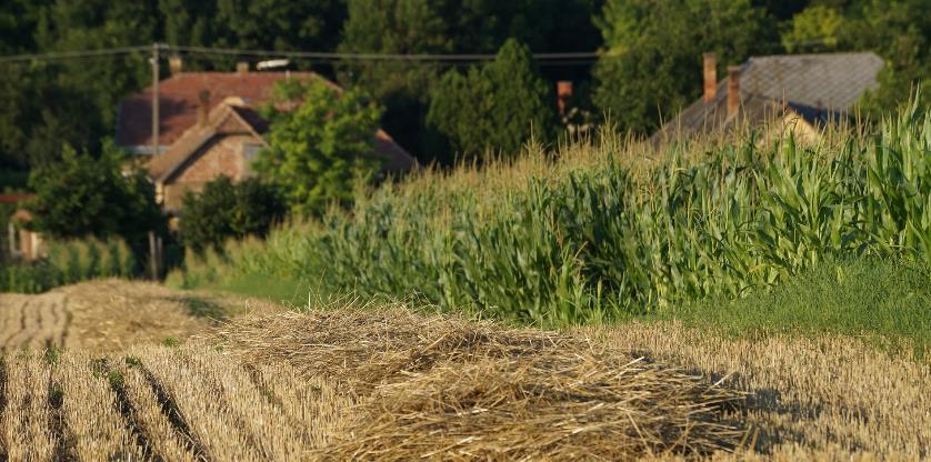 történő kezelése teremthet összhangot, megfelelő