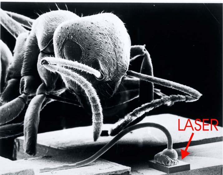 Érdekességek Világ legkisebb lézere (Sam McCall, AT&T Bell Labs)