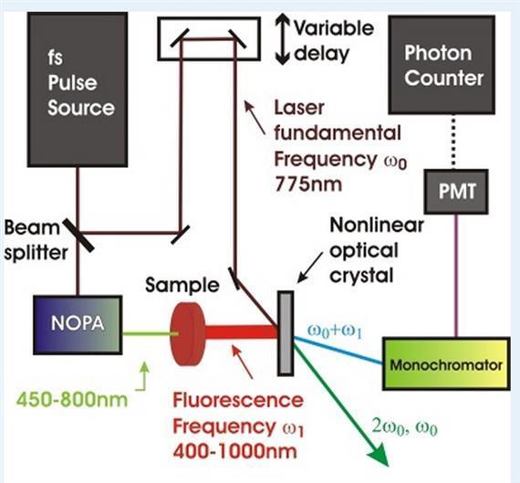 Digitális jelfeldolgozó eljárások: fotonszámlálás, TCSPC Az ábrán a b) kapuzott fotonszámláló sémával működő berendezés felépítése látható.