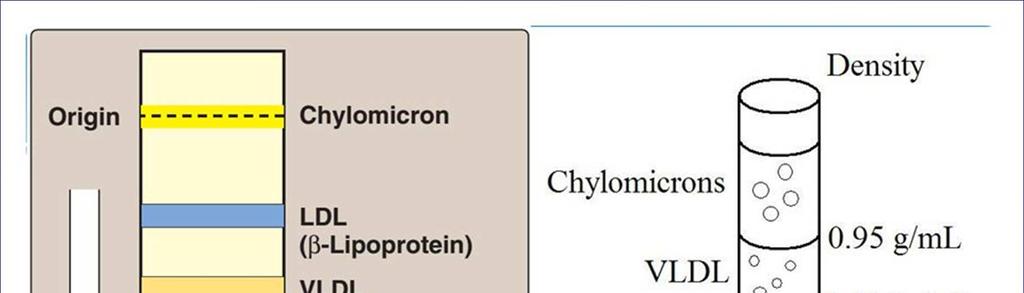 Lipid