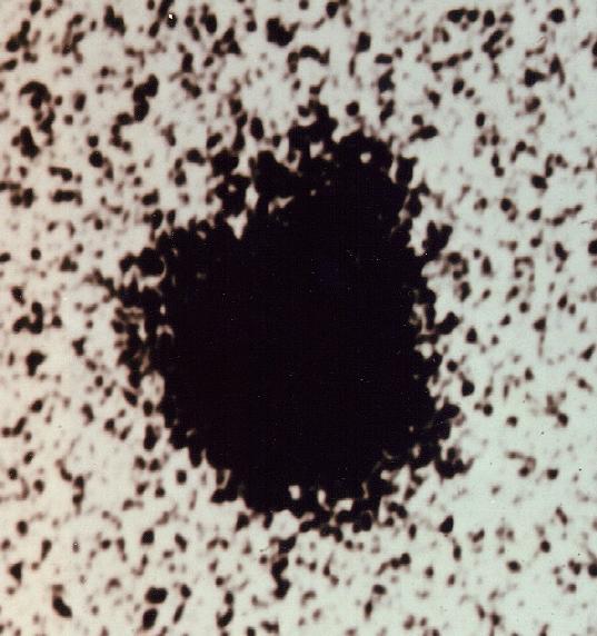 1978-ban J.W.Christy (USA) a US Naval Obszervatórium 155 centiméter nyílású távcsövével készült képek alapján felismerte, hogy a Plútó alakja elnyúlt. A Charon felfedezését bizonyító kép.
