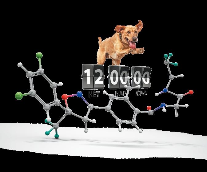 Paradigmaváltás a kullancsok és bolhák elleni védekezésben Az MSD Animal Health innovációja olyan megoldást kínál, amellyel kitûnhetünk a tömegbôl Az MSD Animal Health új terméke, a Bravecto