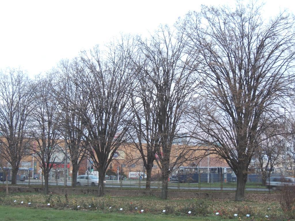 lombtalan állapotban is