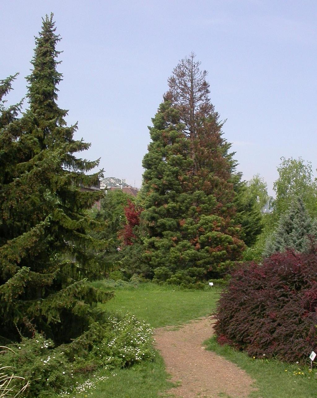 elpusztult az