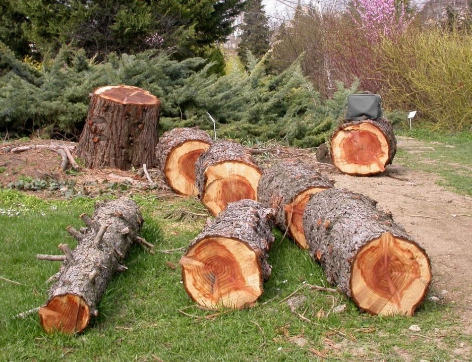 kapcsolata