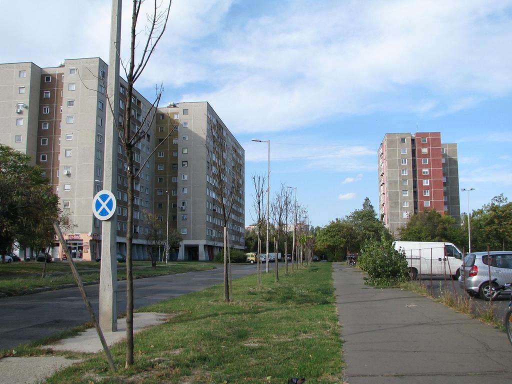 az ember és a fák kapcsolata elpusztult juhar fasor,