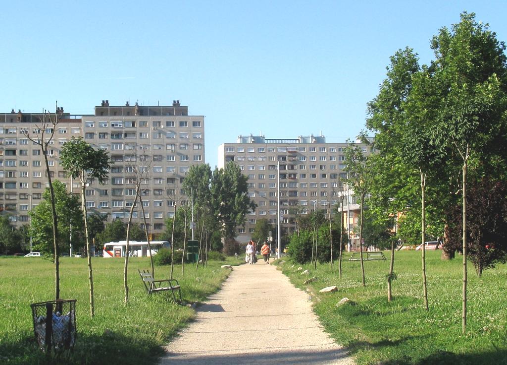 az ember és a fák kapcsolata volt egyszer egy Promenád