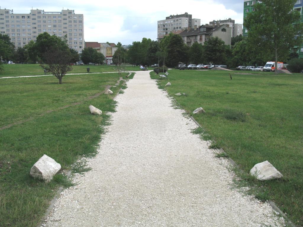az ember és a fák kapcsolata Promenád a nők