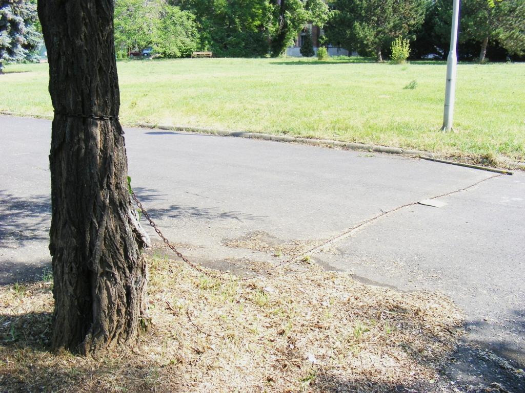 sínylődő,