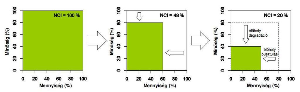 NCI Index (növényzet-ala