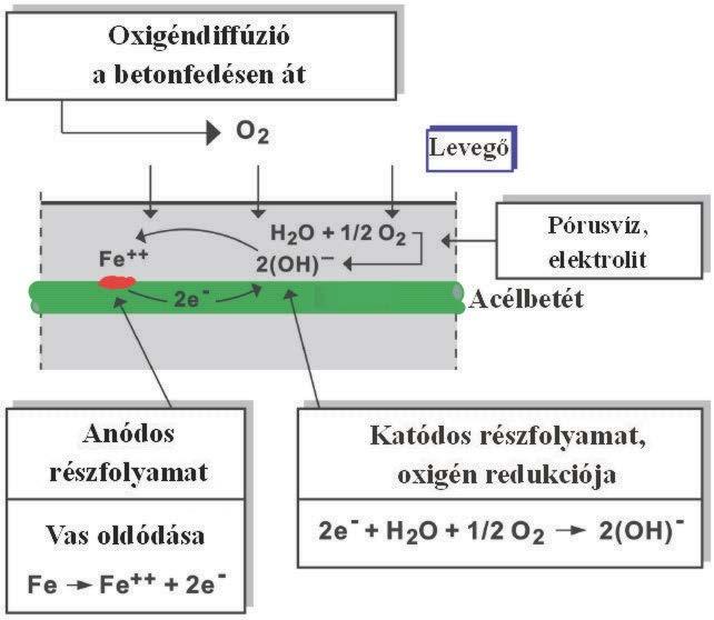 1. ábra: Acélbetét