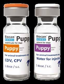 törzzsel szemben. A Biocan Novel Puppy attenuált formában tartalmazza a parvovírus és szopornyicavírus komponenst.