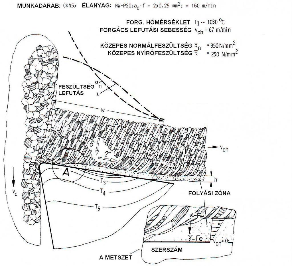 Forrás: Dr.