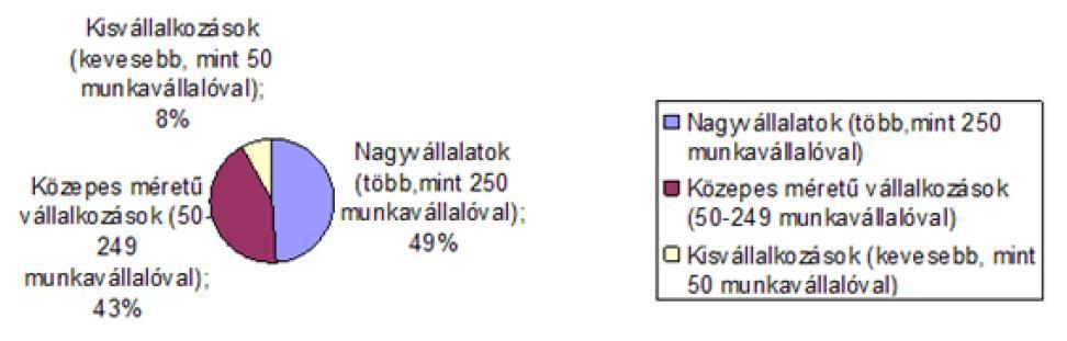 A nagyobb, adott esetben multinacionális vállalatoknak bonyolultabb a beszállítói lánca, és számos feladatot külsős cégek végeznek el.