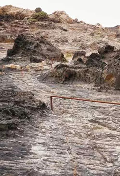 Salience landscape (Ramachandran) a tudat mezeje a környezetben észlelt dolgok érzelmi jelentőségének tájképe egy adott pillanatban az amygdala hozza létre nem homogén, nem lehet