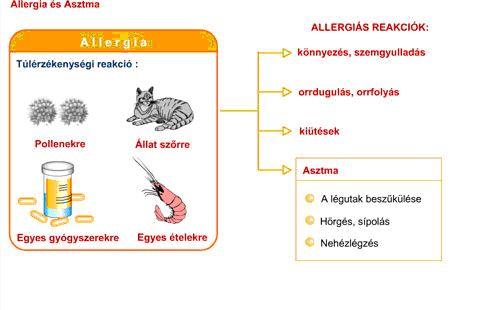 küszködik olyan amely ember kialakulhat Valaki duzzadt, az behatásokra Az a ételekre allergiás asztmát lehet észre légutak allergia nehézlégzéssel, a könnyezés, légutak allergiás vörös, sem -