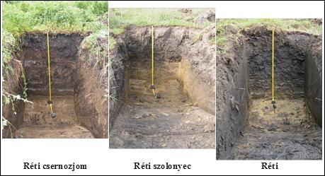 Tuba et al. 1. ábra: A feltárt talajszelvények A feltárt talajszelvények egymástól 120, illetve 260 méter távolságra, háromszög alakban helyezkednek el.