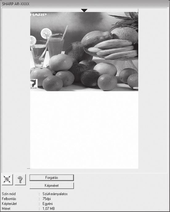 LAPBEOLVASÓ FUNKCIÓK Előnézeti kép 5 Előnézeti kép Ha meg kívánja tekinteni a beolvasott képet, a Beállítás képernyőn kattintson az "Előnézet" gombra.