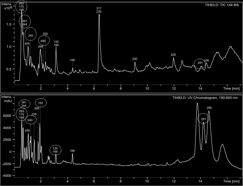 ábra A) az oszlopról, és a tömegspektrométer pozitív ionizációs üzemmódja miatt a tömegspektrumokon a m/z=416,1 molekulatömeg (M + ) alapján detektáltuk (19. ábra A, jobbra).