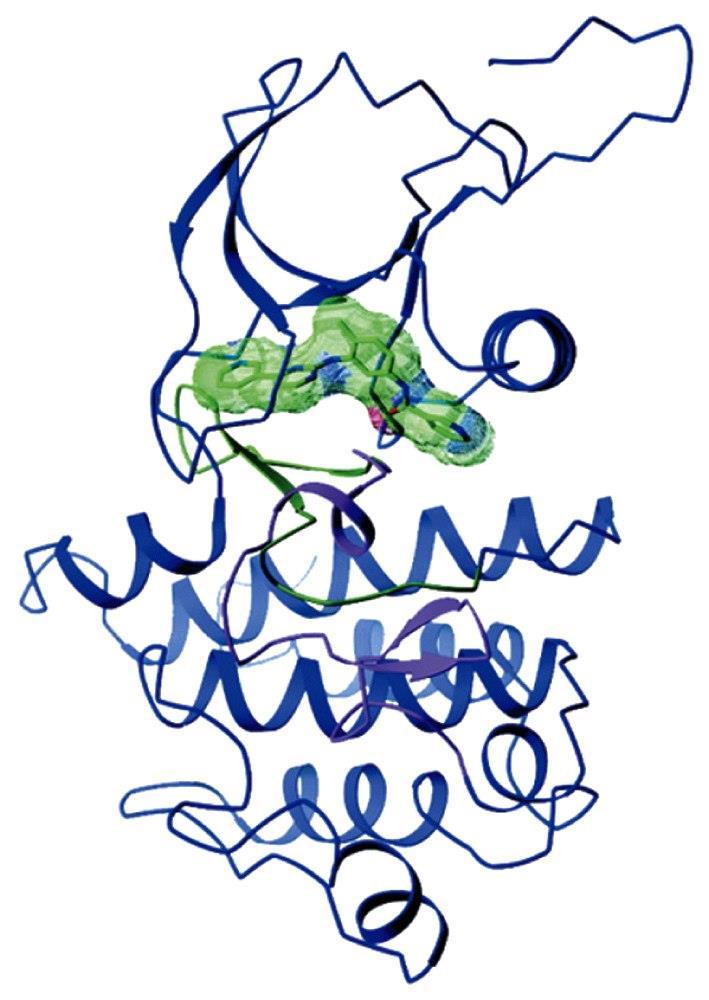 Gleevec specifikusan az onkogén Bcr-Abl fúziós fehérjét