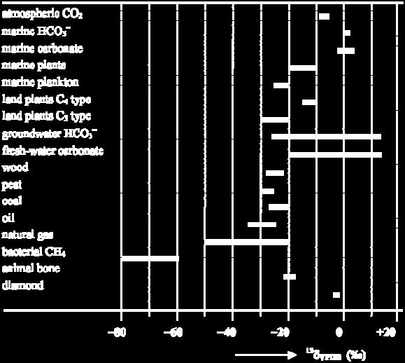 Atmoszférikus δ 13 C: -7,5-8,5 A növényekbe beépülve δ 13 C = -12-27 a nehezebb izotóp nehezebben épül be Ok: a relatív tömegkülönbség: Δm 13