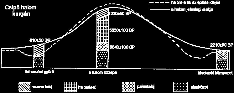 Reimer, is an online radiocarbon calibration program.