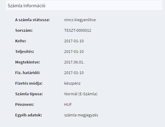 Amennyiben a számla kiállítója a számla elkészítése során az Egyéb mezőbe további információkat írt be, akkor azok is itt láthatóak.