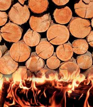 : 06-70/774-1540, 06/70774-15-41 AUTÓSZERELŐKET keresünk Dunakeszire, 20 éve működő szervizünkbe! Jelentkezni fényképes önéletrajzzal e-mail címünkre: arvairoland4@gmail.