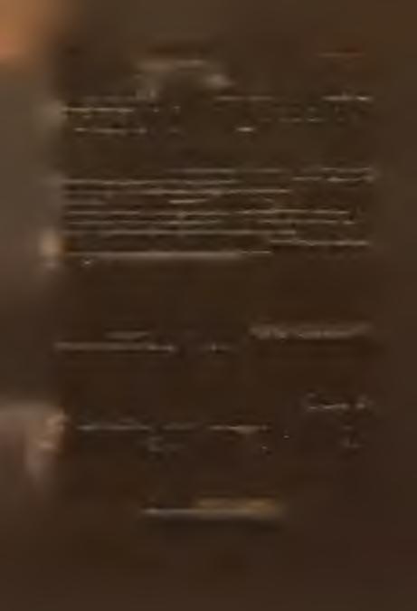 Ezzel lehetetlenné vált a Bessenyei Kör főf'tkári állssábait való megmaradása is.