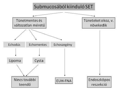 A muscularis propriából kiinduló elváltozásoknál tünetek, növekedés esetén sebészi reszekció javasolható (2. ábra).