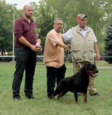 vezette 2017. évre elnyerte a világszervezet, az Allgemeiner Deutscher Rottweiler Klub (ADRK) Világkiállítás rendezési jogát. Emlékkiállítás legszebb magyar kan: CAC, Res.