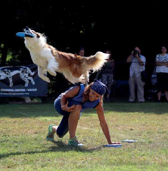 Dog Chow Disc Cup AWI Európa Bajnokság Magyarországon Az idei év sztárja az immár hatszoros Európa Bajnok Adrian Stoica (I), aki igen látványos, akrobatikus kûrt mutatott be.