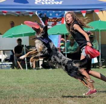 3-án a Flydogs Hungary szervezésében megrendezett Európa Bajnokságnak, melyet a névadón kívül a Magyar