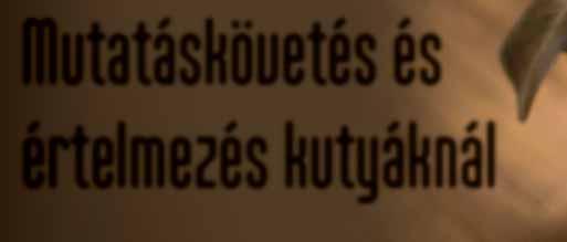 Képzeljünk el egy helyzetet. Beszélgetünk egy ismerôsünkkel, és észrevesszük, hogy repül a fejünk felé egy frizbi vagy labda.