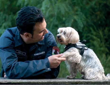 Filmekben gyakran látni, hogy kávéval és egyéb más módon próbálják a kábítószer keresô kutyák szaglását megzavarni, ez a valóságban, hogy néz ki?