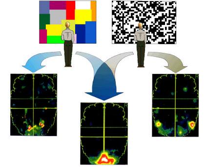 16 Szín - világosság Funkcionális szegregáció: Positron Emission Tomograph (PET) képekkel követhető, hogy a többszínű állóképet nézve a V4 agyterület vérellátása emelkedik