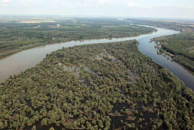 European Danube Region Strategy A River or a Canal Importance of the Danube in Croatia, A regional overview Nadia Kozul (regija@obz.