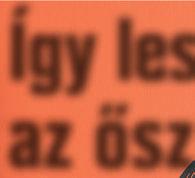 Tüzelőanyag: fa, fabrikett. Súly: 85 kg.