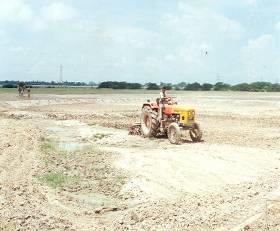 Land development along with 30cm