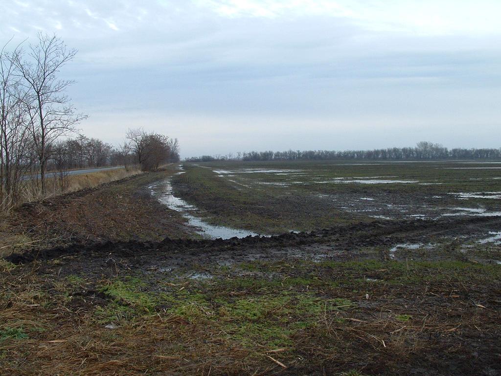 Felszíni víz elvezetése: A szikes talajok többsége rossz vízáteresztő képessége következtében