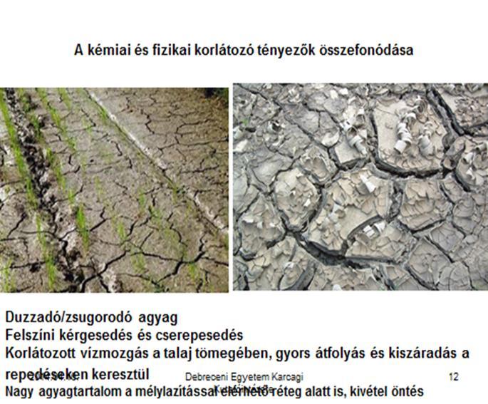 A szántóföldi hasznosítás szempontjából fontosabb talajtípusok művelésének irányelvei Szikes talajok A talaj művelését befolyásoló talajtulajdonságok: a talaj legfontosabb jellemzője a nátriumsók