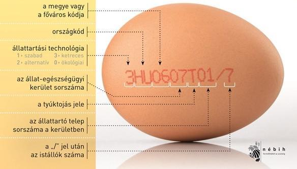 Az Európai Bizottság (2008b) meghatározása szerint tojás az a héjas (nem törött, nem keltetett és nem főtt) tojás, amely a Gallus gallus fajhoz tartozó tyúktól származik, és közvetlenül alkalmas