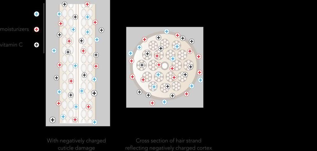 TRI-ACTIVE TECHNOLÓGIA Kimagasló gondoskodás: Hidratálók kondicionál és fényt ad Proteinek - Hogy a hajszín hosszantartó legyen és