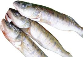 jégmentes) 3 6,5 kg Halfilé hekkfilé (interfóliás, jégmentes) 3 7 kg Halfilé (interfóliás, jégmentes) pangasius 2