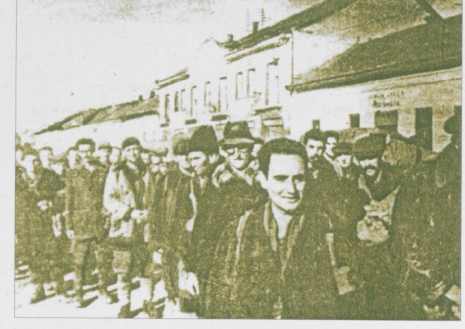 A kárpátaljai magyarok és németek egy csoportja 1944 november - decemberében az NKVD frontalakulatai a hadifoglyok szolyvai gyűjtőpontjánál (gyűjtőláger) különítették el őket.