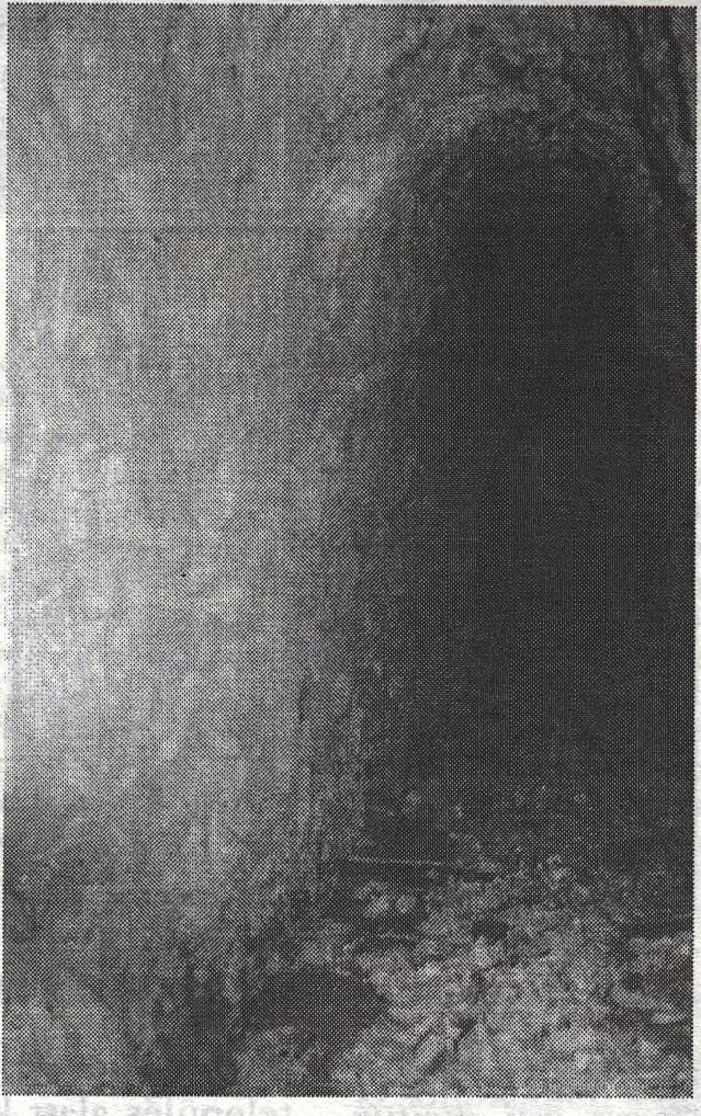ábra Kovás riolitban vésővel kihajtott, telkibányai Fehérhegyi altáró (Foto: Horvathj ) melyek a korábbi fejtések alatt tárták fel az ércteléreket.