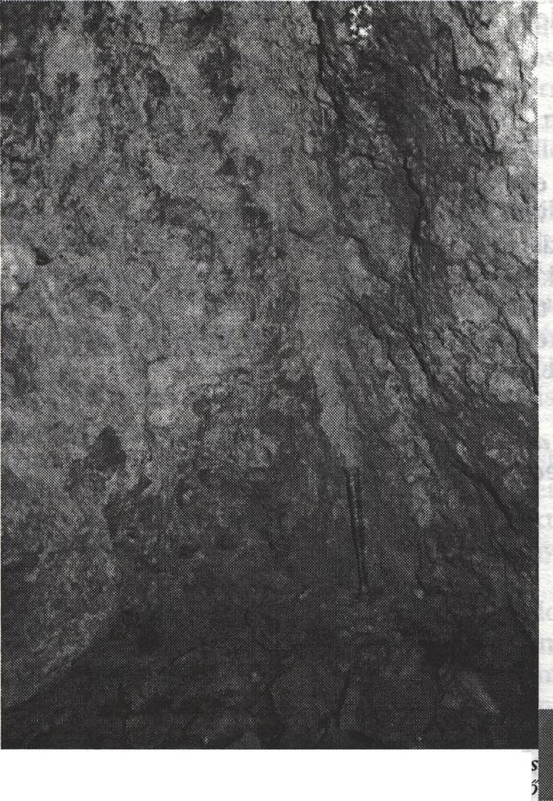 a telérekben már nem jelentősek. A XIX. század a kutatás módszertanában hoz gyökeres változást, elindul a rendszeres geológiai térképezés és a bányageológiai felvétel.