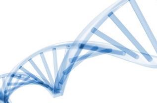 Immunkromatográfiás tesztek PCR/RT-PCR